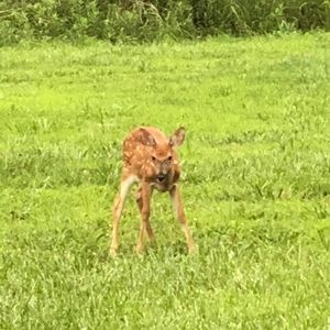 Meet your Posher, Brian